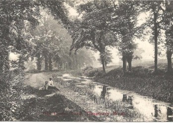 Our CURRENT EXHIBITION